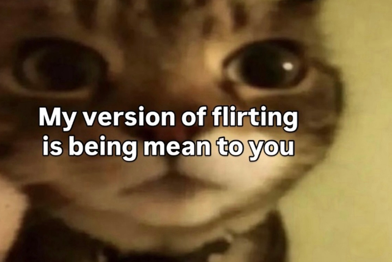 My version of flirting is being mean to you