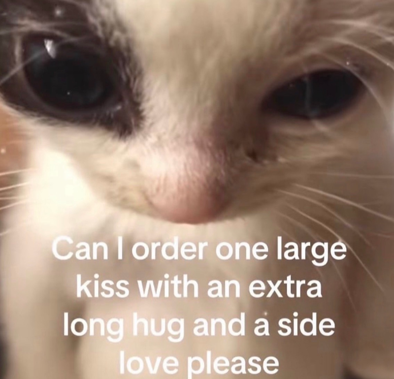 Can I order one large kiss with an extra long hug and a side love please