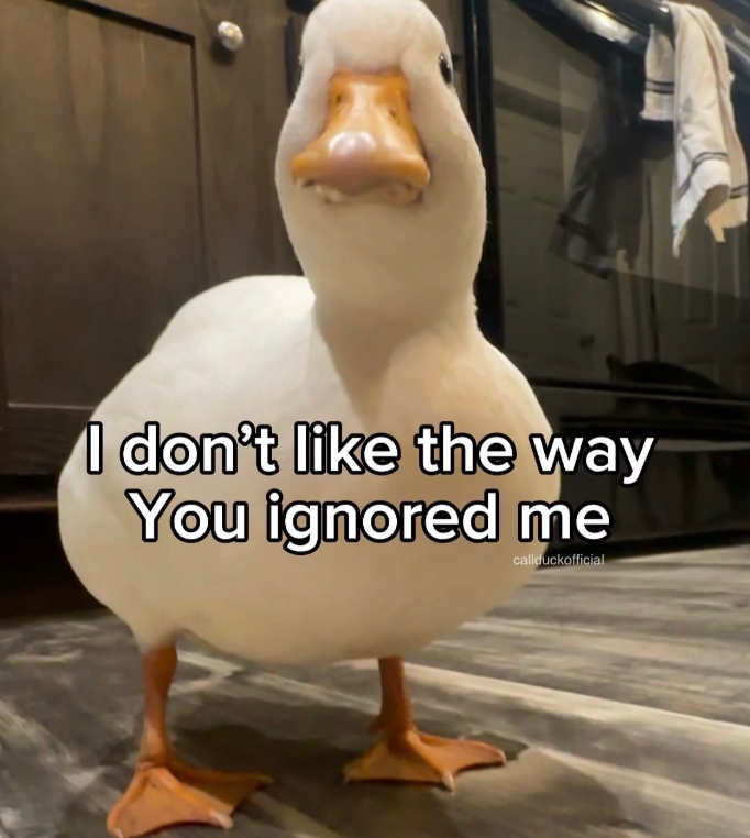 I don't like the way You ignored me callduckofficial