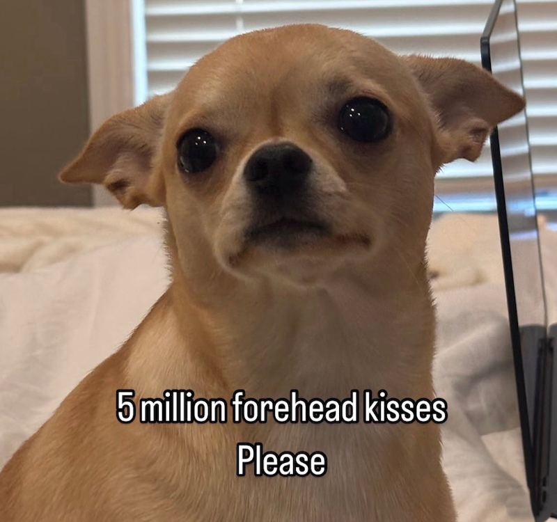 5 million forehead kisses Please