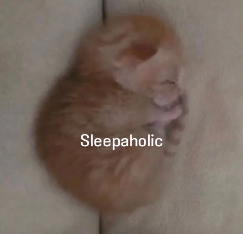 Sleepaholic
