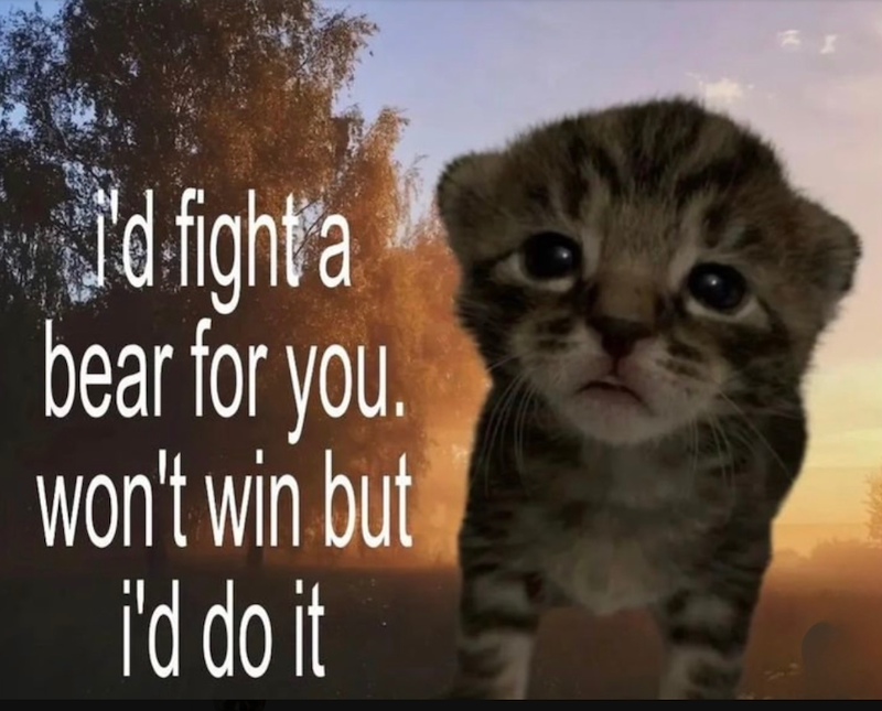 i'd fight a bear for you. won't win but i'd do it