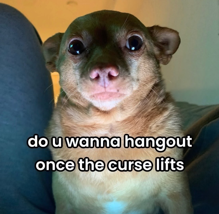 do u wanna hangout once the curse lifts