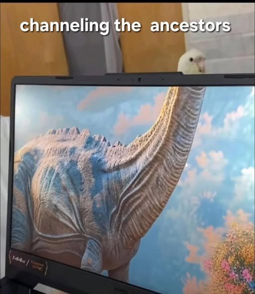 channeling the ancestors 144 SYNC