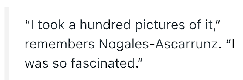 "I took a hundred pictures of it," remembers Nogales-Ascarrunz. "I was so fascinated."
