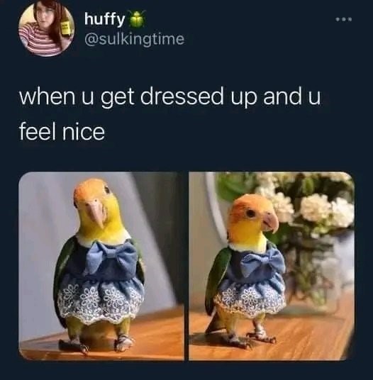 huffy @sulkingtime when u get dressed up and u feel nice