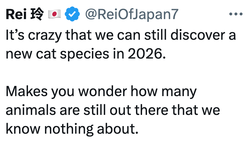 Rei 玲 @ReiOfJapan7 It's crazy that we can still discover a new cat species in 2026. Makes you wonder how many animals are still out there that we know nothing about.