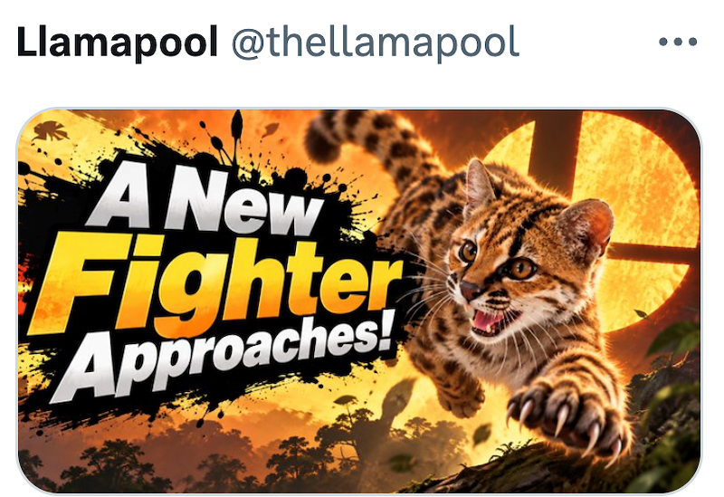 Llamapool @thellamapool A New Fighter Approaches!