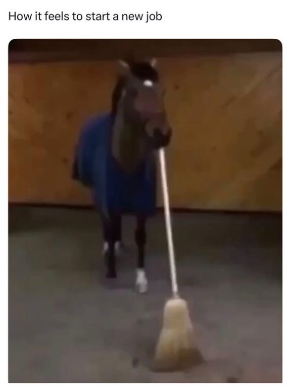 How it feels to start a new job