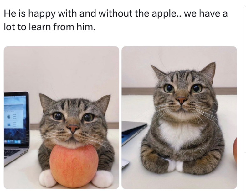 He is happy with and without the apple.. we have a lot to learn from him. 111 111