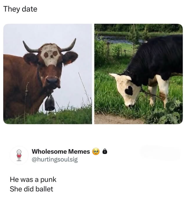 They date Wholesome Memes @hurtingsoulsig He was a punk She did ballet