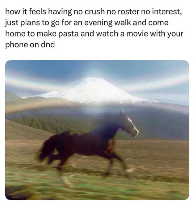 how it feels having no crush no roster no interest, just plans to go for an evening walk and come home to make pasta and watch a movie with your phone on dnd