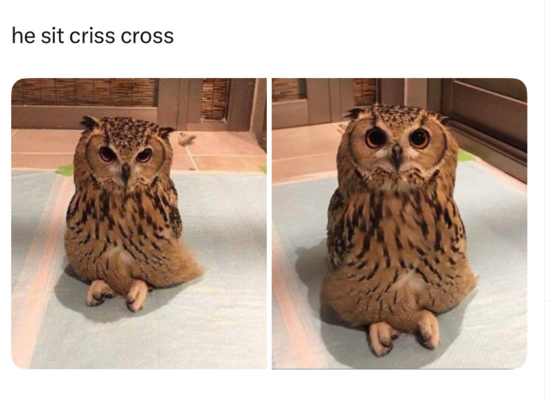 he sit criss cross