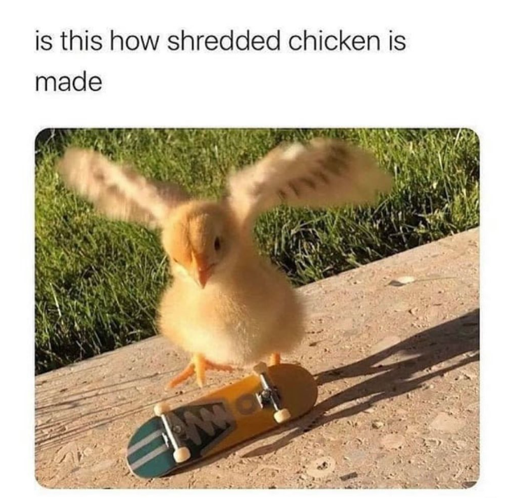 is this how shredded chicken is made