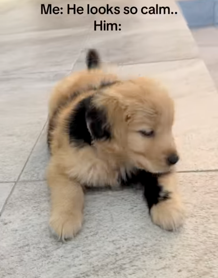 Me: He looks so calm.. Him: