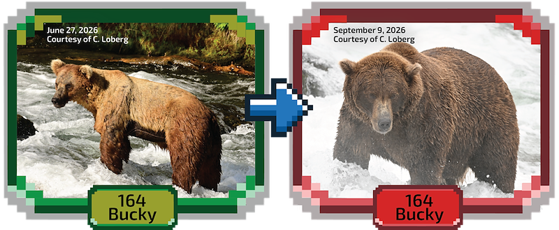 June 27, 2026 Courtesy of C. Loberg September 9, 2026 Courtesy of C. Loberg 164 Bucky 164 Bucky