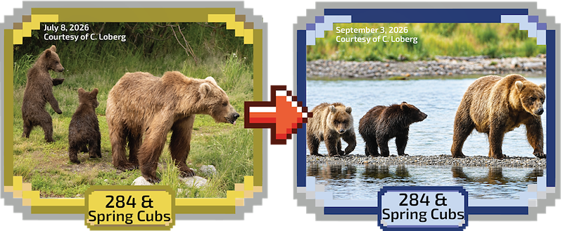 July 8, 2026 Courtesy of C. Loberg September 3, 2026 Courtesy of C. Loberg 284 & Spring Cubs 284 & Spring Cubs