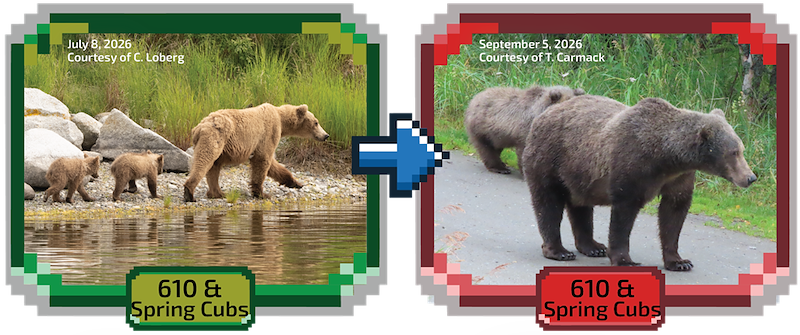 July 8, 2026 Courtesy of C. Loberg September 5, 2026 Courtesy of T. Carmack 610 & Spring Cubs 610 & „Spring Cubs
