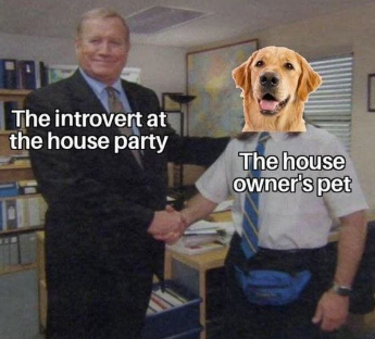 The introvert at the house party The house owner's pet