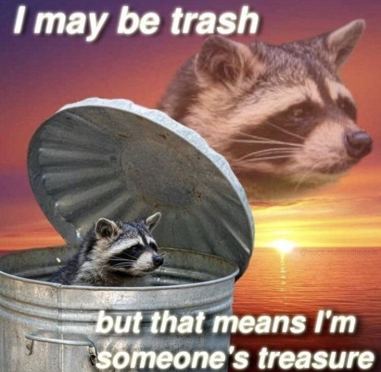 I may be trash @nocturnaltrashports but that means I'm someone's treasure