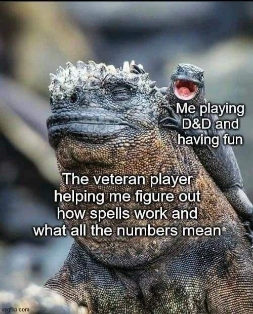 imgflip.com Me playing D&D and having fun The veteran player helping me figure out how spells work and what all the numbers mean*