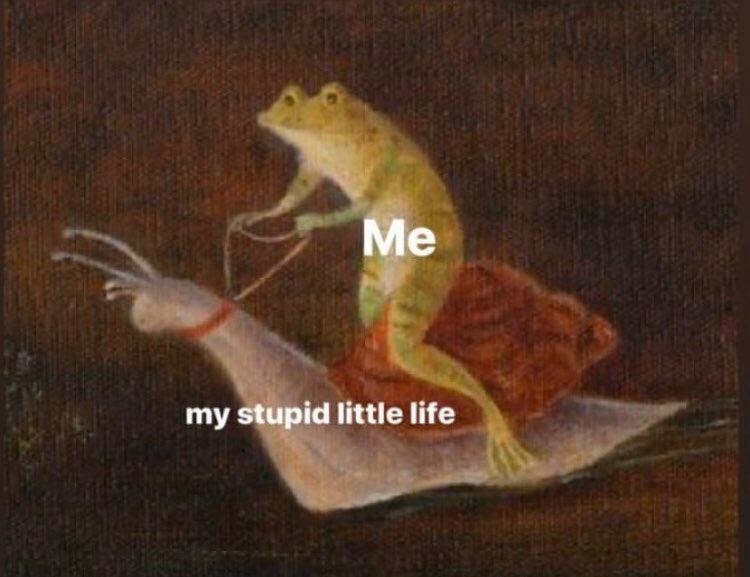 Me my stupid little life