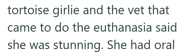 tortoise girlie and the vet that came to do the euthanasia said she was stunning. She had oral