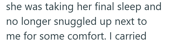 she was taking her final sleep and no longer snuggled up next to me for some comfort. I carried