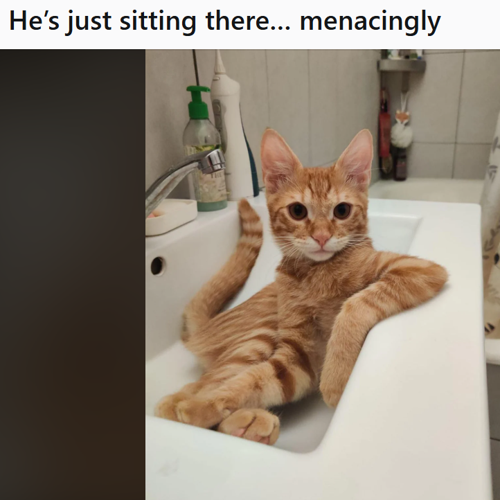 He's just sitting there... menacingly