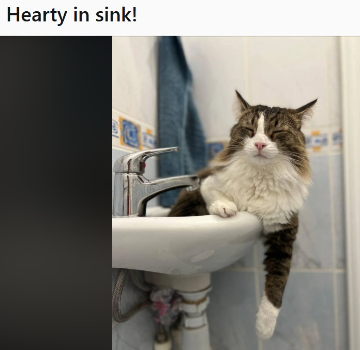 Hearty in sink!
