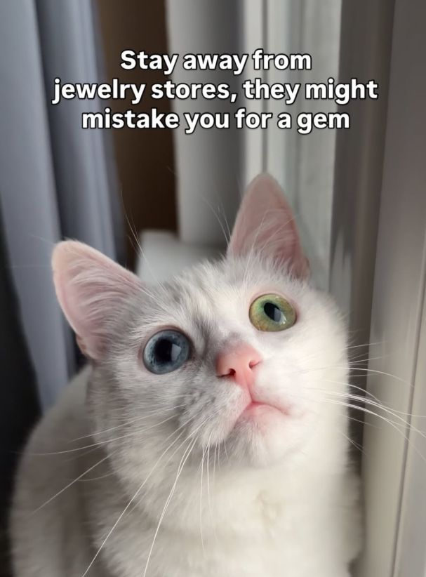Stay away from jewelry stores, they might mistake you for a gem