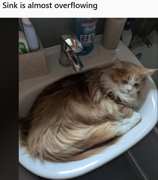 Sink is almost overflowing Je Oral 241 HOUR ま