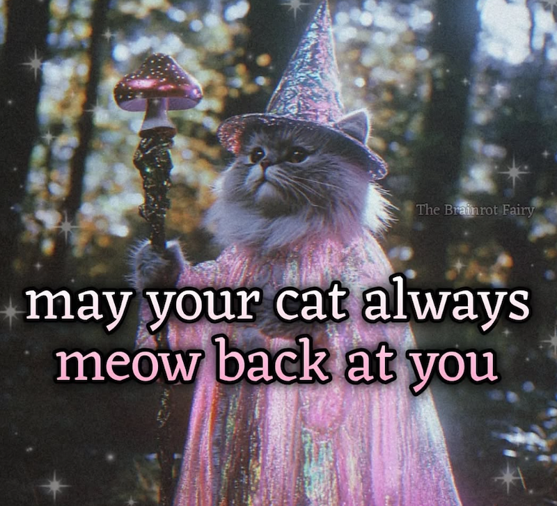 The Brainrot Fairy may your cat always meow back at you