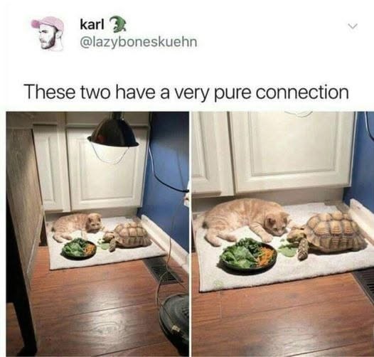 karl @lazyboneskuehn These two have a very pure connection