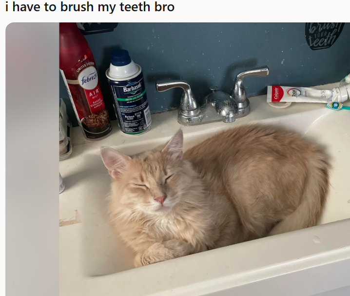 i have to brush my teeth bro LIMITED febre AIR MIST Barbasal Colgate brusy YOUR teeth