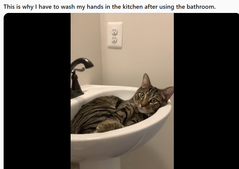 This is why I have to wash my hands in the kitchen after using the bathroom. ee