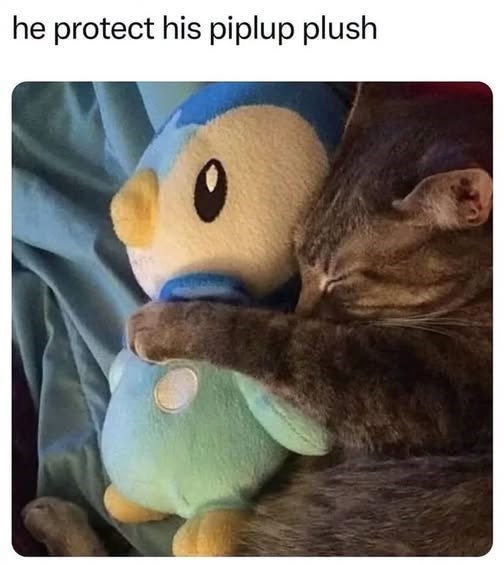 he protect his piplup plush