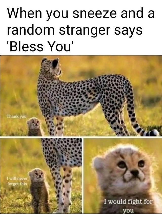 When you sneeze and a random stranger says 'Bless You' Thank you I will never forget this I would fight for you