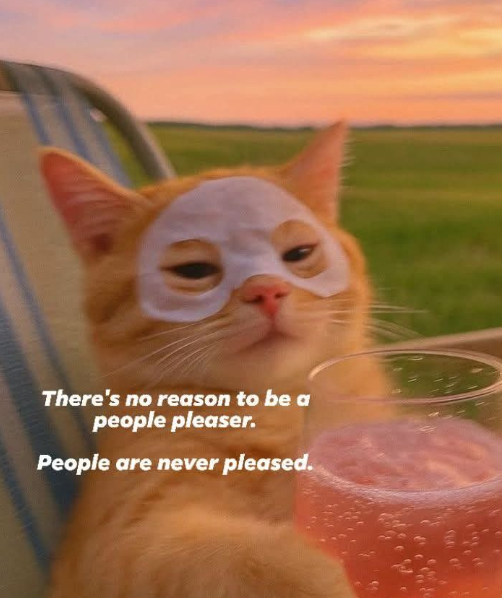 There's no reason to be a people pleaser. People are never pleased.