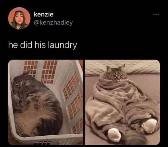 kenzie @kenzhadley he did his laundry