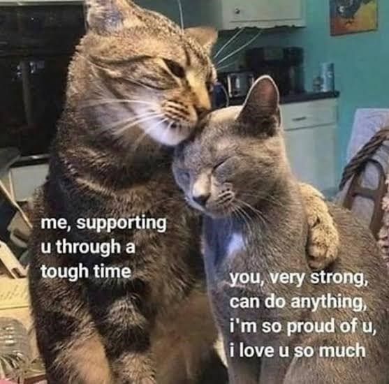 me, supporting u through a tough time you, very strong, can do anything, i'm so proud of u, i love u so much