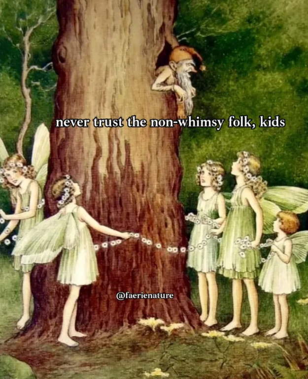 never trust the non-whimsy folk, kids 8 @faerienature
