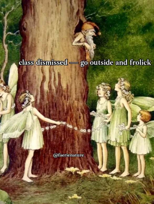 69 class dismissed go outside and frolick - 00 @faerienature 0000