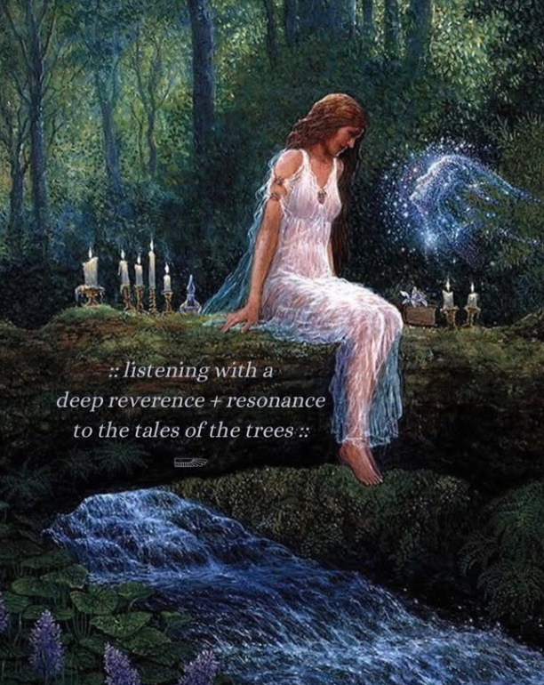 :: listening with a deep reverence + resonance to the tales of the trees ::
