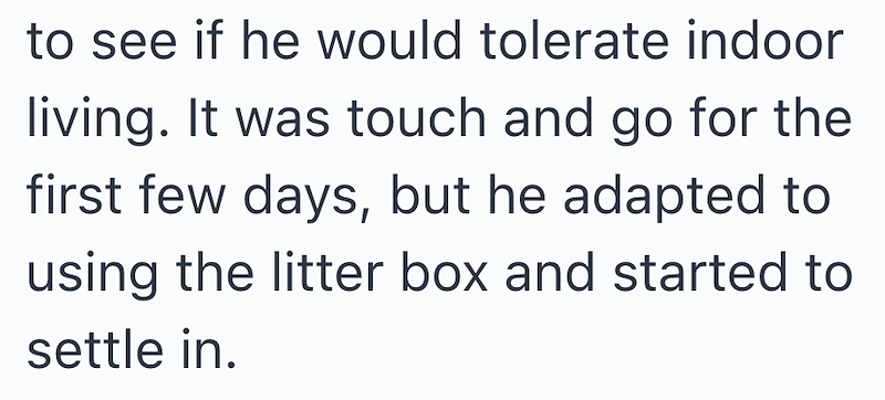 to see if he would tolerate indoor living. It was touch and go for the first few days, but he adapted to using the litter box and started to settle in.
