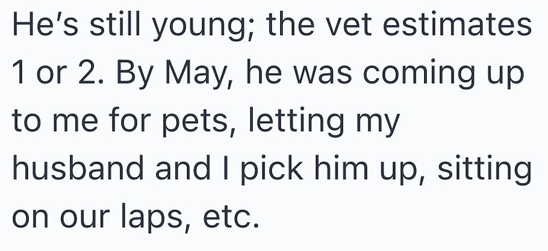 He's still young; the vet estimates 1 or 2. By May, he was coming up to me for pets, letting my husband and I pick him up, sitting on our laps, etc.