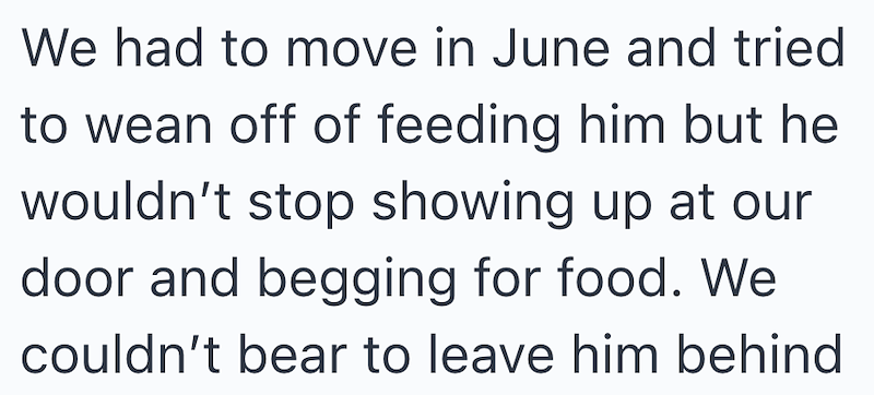 We had to move in June and tried to wean off of feeding him but he wouldn't stop showing up at our door and begging for food. We couldn't bear to leave him behind
