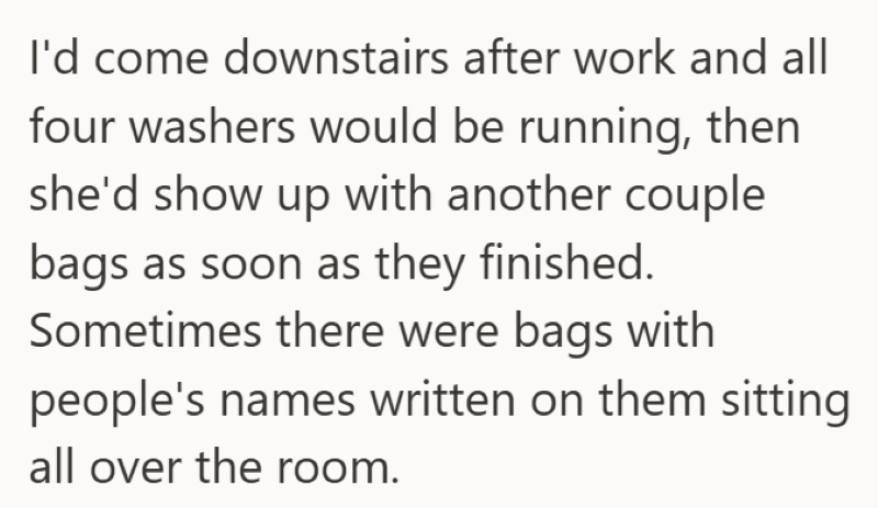 I'd come downstairs after work and all four washers would be running, then she'd show up with another couple bags as soon as they finished. Sometimes there were bags with people's names written on them sitting all over the room.