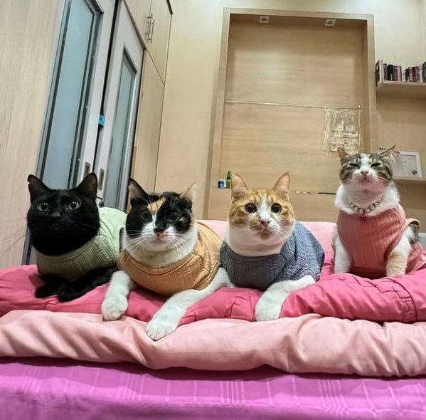 4