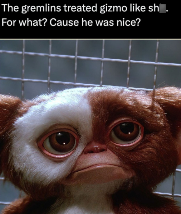 The gremlins treated gizmo like sh. For what? Cause he was nice?